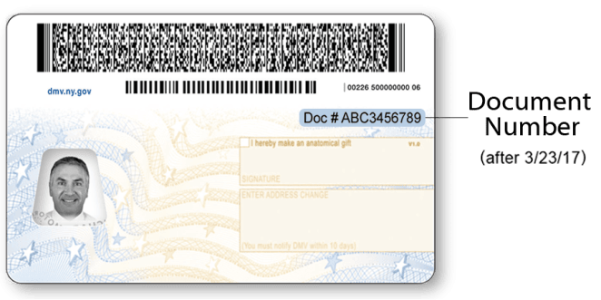 Sample NYS Standard Driver License after March 23, 2017 – Back