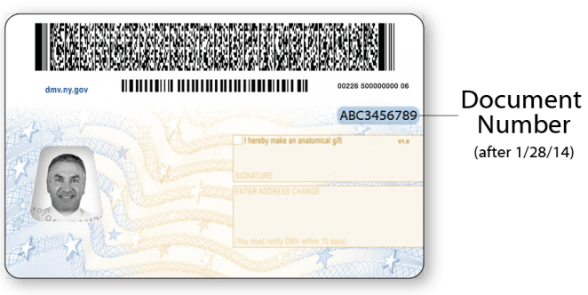 Sample NYS Standard Driver License after January 28, 2014 – Back