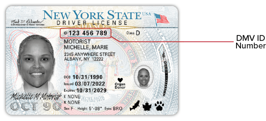 Sample New York State DMV Photo Documents