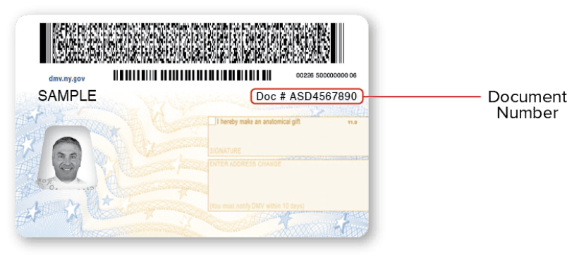 Sample NYS Standard Driver License – Back