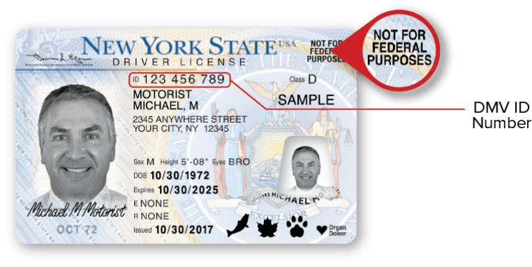 Sample NYS Standard Driver License – Front