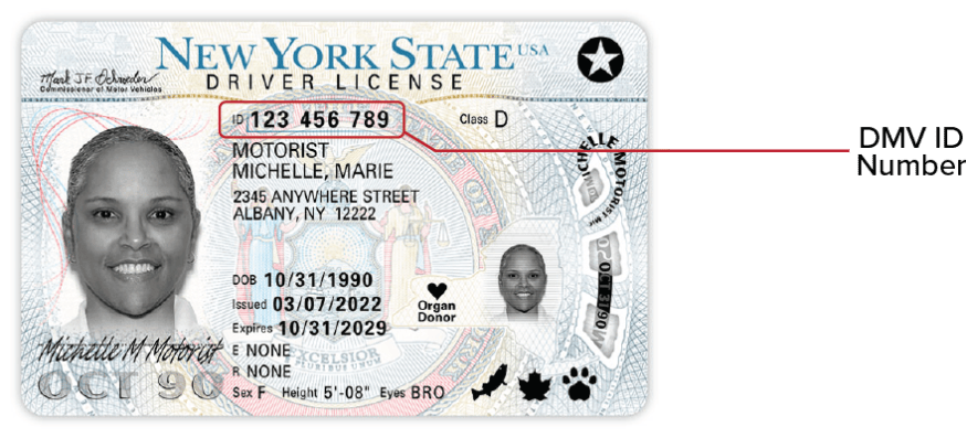 Sample New York State DMV Photo Documents