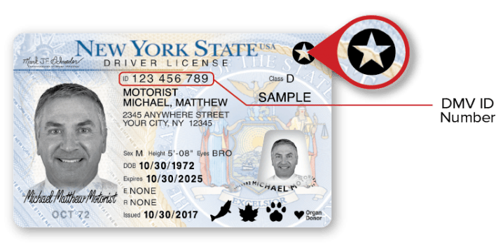 Sample NYS REAL ID Driver License - Front