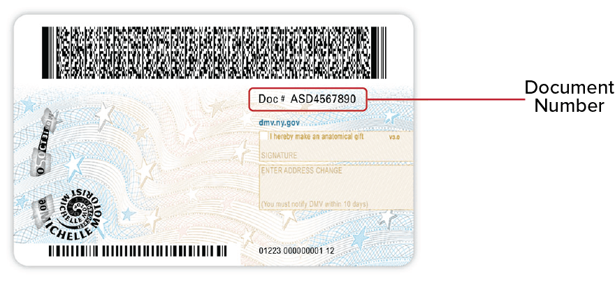 This image is the back of the NYS Standard Driver License released 3/10/22. It shows the document number toward the bottom after ‘IDUSA’.