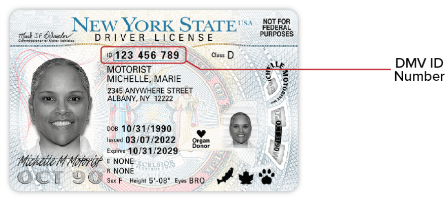 This image is the front of the NYS Standard Driver License released 3/10/22. It says ‘NOT FOR FEDERAL PURPOSES’ in the upper right corner and the DMV ID number is close to the center.