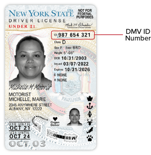 This image is the front of the Under 21 NYS Driver License released 3/10/22. The DMV ID number is toward the top, on the right side.