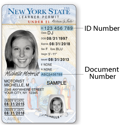 photo learner permit example for drivers under 21 years old